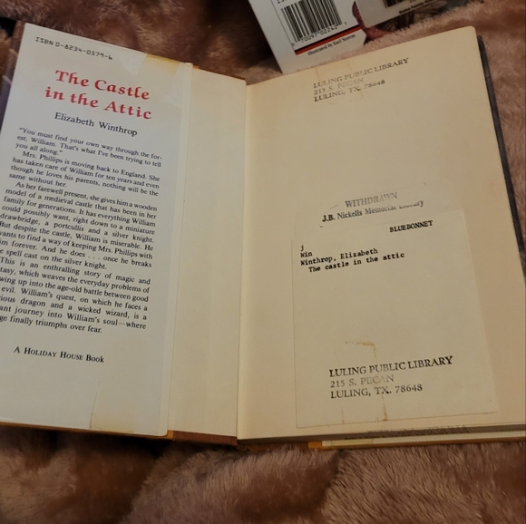 COPY - The Swiss Family Robinson and The Castle in the Attic Vintage Book Bundle - Picture 3 of 5